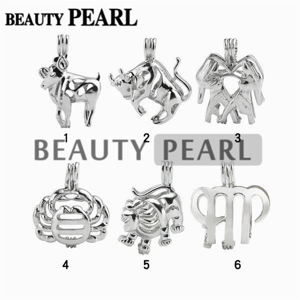 12 peças de joalharia por grosso misturam lotes 18KGP Love Pearl Cage Pendant Zodiac Sign Wish Cages Lockets