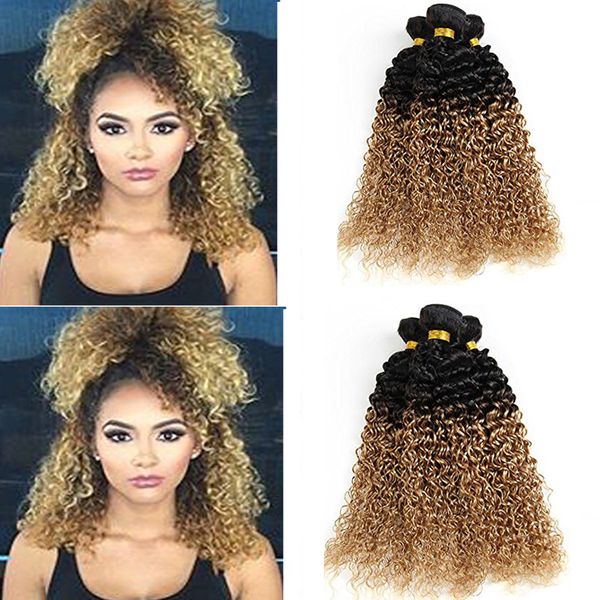 2019 Human Hair Extensions 8a Brazilian Virgin Hair Kinky Curly