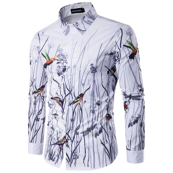 

Camisas Casuais bluedaily