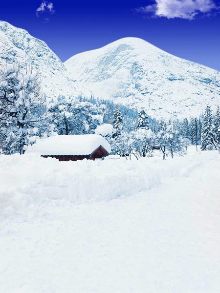 Céu azul Snow Mountain Backdrop árvores de vinil White Country Road férias de inverno Scenic Photography Fotografia de fundo Studio Photo Shoot Drops