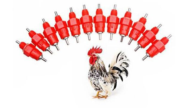 2500 pcs Nipple Drinker Feeder Copos De Água De Frango Bebedores Waterer 360 Ângulo Suprimentos De Aves De Alimentação De Rega