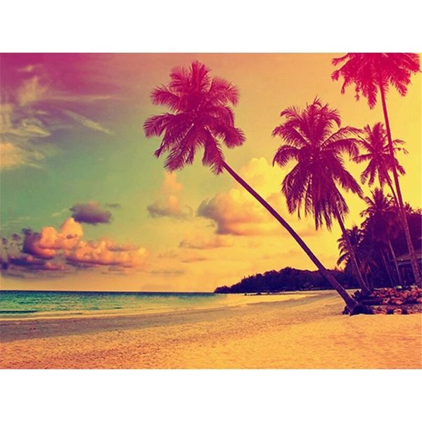 Sfondo fotografico con palme al tramonto sulla spiaggia sabbiosa, bellissime nuvole, vista sulle vacanze estive, servizio fotografico, sfondo notturno, sfondo panoramico