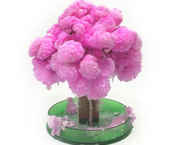 Acheter Iwish 2017 14x11 Cm Visuel Japon Rose Grand Magique Cultiver Papier Sakura Arbre Magiquement Croissant Arbres Kit Bureau Cerisier Fleur De