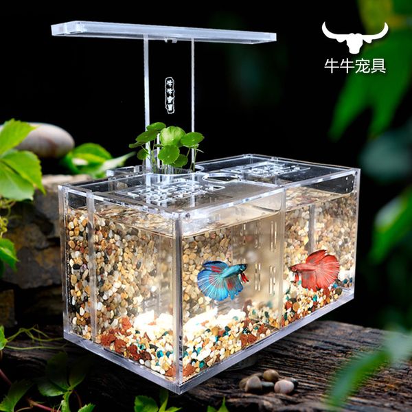 

acrylic fish tank water isolation box office desk led desk lamp pump filter ecological small aquarium