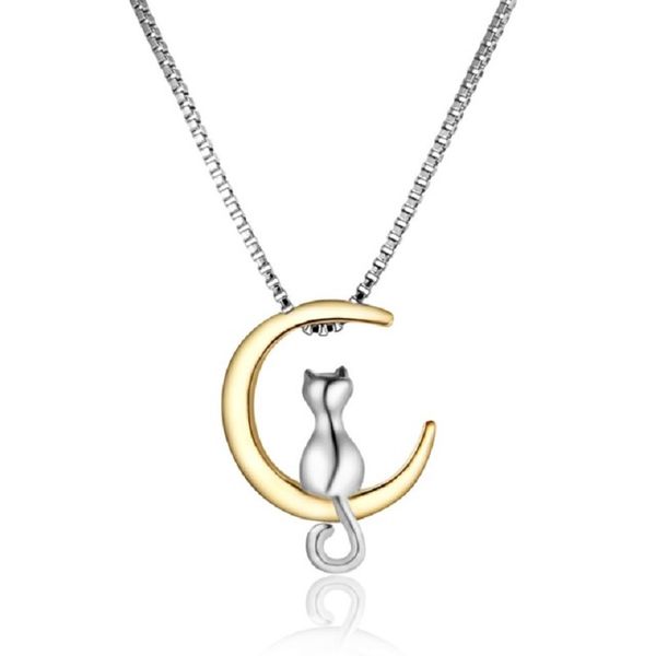 chat collier lune chat collier lune
