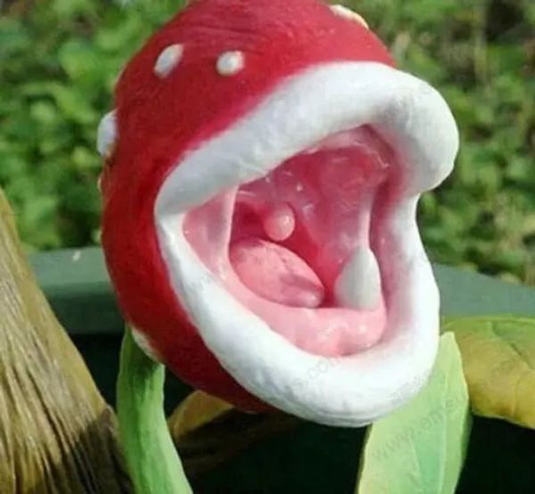 

ђпаковка 100 . ловл наеком на Ѭаени емена в гоѬка бонай в гоѬка ем