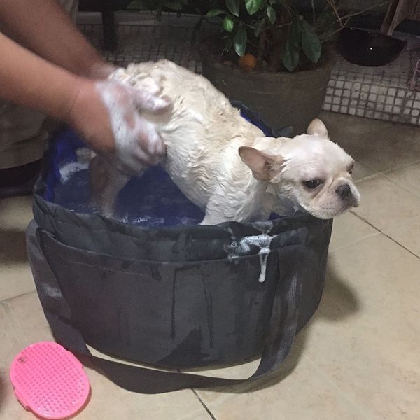 2019 Foldable Pet Cat Swimming Pool Bathing Bathtub For Small Dogs