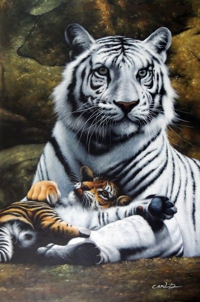 Emoldurado branco tigre mãe filhote bebê gatos grandes gatos artesanais pintura a óleo de arte animal em museu de lona qualidade multi tamanhos j040