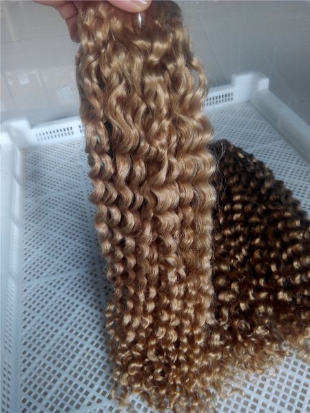 

Brazilian deep curly hair weave bundle unproce ed indian virgin 100g 27 honey blonde human brazilian hair weave