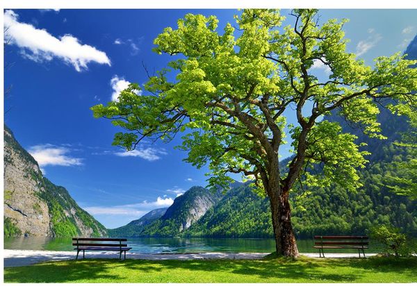 

3d wallpaper for room tree blue sky grass tv background wall custom 3d wallpaper p wall murals wallpaper