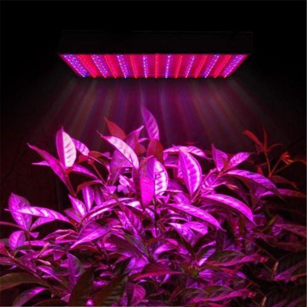 

led grow lamp 225 led hydroponic plant grow light panel red/blue 15w led plant grow lights 900lm 225 leds panel lights 110-220v