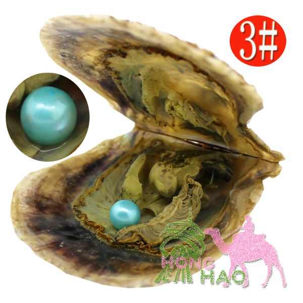 Ostrica di perle di conchiglia Akoya di amore economico di alta qualità 6-7mm ostrica di perle blu grigio chiaro rosso con confezione sottovuoto