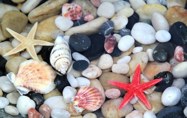 

vinyl flooring hd pebbles shells starfish bathroom floor tiles p wall mural