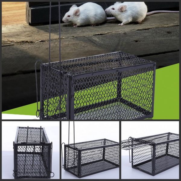 Acheter Gros Rat Cage Souris Rongeur Contrôle Des Animaux Attraper Appât Hamster Souris Piège Humain Vivre De Haute Qualité Tout Neuf Livraison