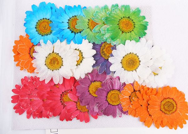 Acheter Absorption De Colorant Bouquet De Fleurs Séchées Au Chrysanthème 3 Couleurs Différentes De Grande Taille Pour Le Salon De Bricolage