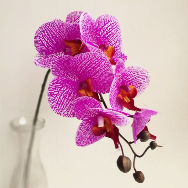 Real Touch Orchid 7 teste Latex Orchid Flower Falso Phalaenopsis più leggero viola per centrotavola di nozze Fiori decorativi per feste a casa
