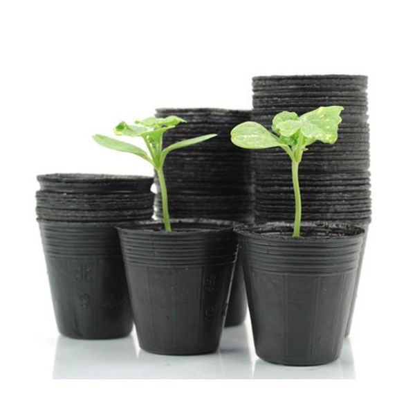 

Vasos & Potes kenna456