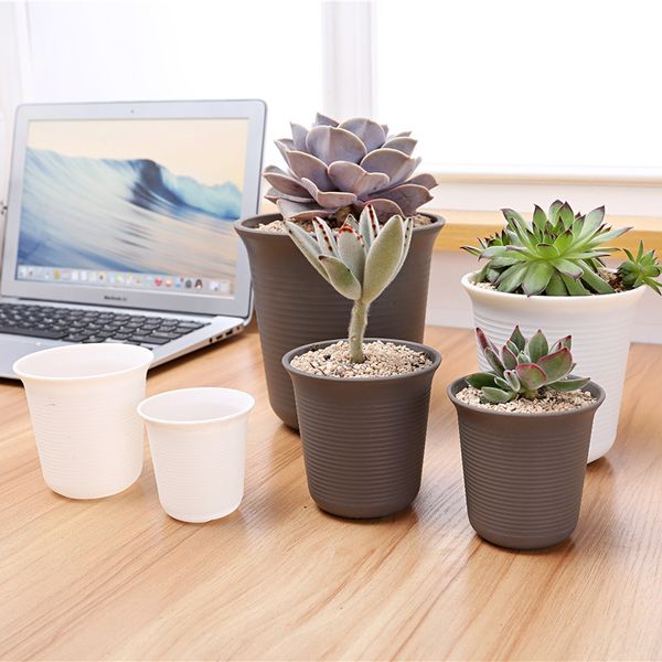 cheap office plants dhl plastic pots for plants circle planter decoration of home office desk garden flower shop coupons and promotions get cheap cheap office plants dhl plastic pots for plants circle planter decoration of home office desk garden flower shop coupons and promotions get cheap