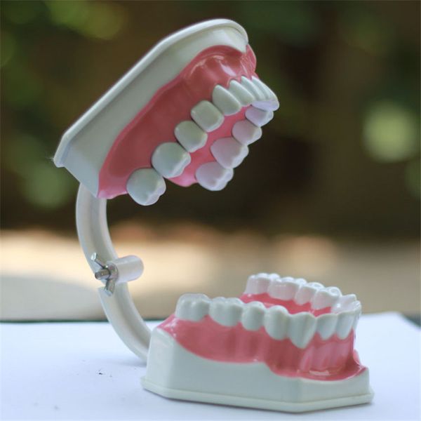 

2 times new dental teeth with toothbrush revomable tooth