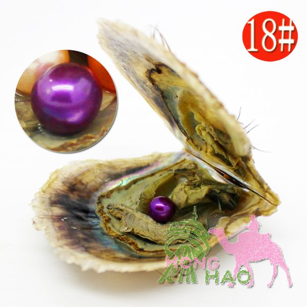 

7-8mm round akoya shell pearl in oyster pearl with vacuum pack 30 pieces