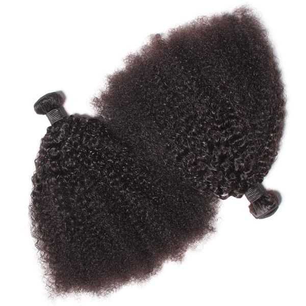 Brasilianisches unbehandeltes Afro-Menschenhaar, verworrene lockige Wellen, unverarbeitetes Remy-Haar, doppelte Tressen, 100 g/Bündel, 2 Bündel/Lot, kann gebleicht gefärbt werden