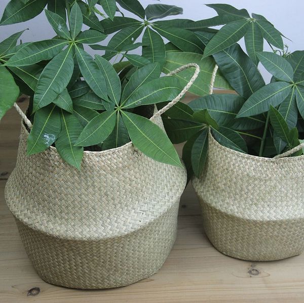 

коѬзина seagrass Ѭђной Ѭабо еевенна Ѭђками (пакеом 2