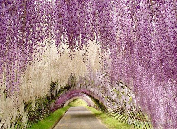 

1.1 meter long elegant artificial silk flower wisteria vine rattan for wedding centerpieces decorations bouquet garland home dhl