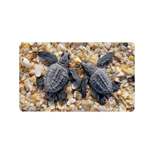 Beautiful Sea Turtle Custom Doormat Entrance Mat Floor Mat Rug