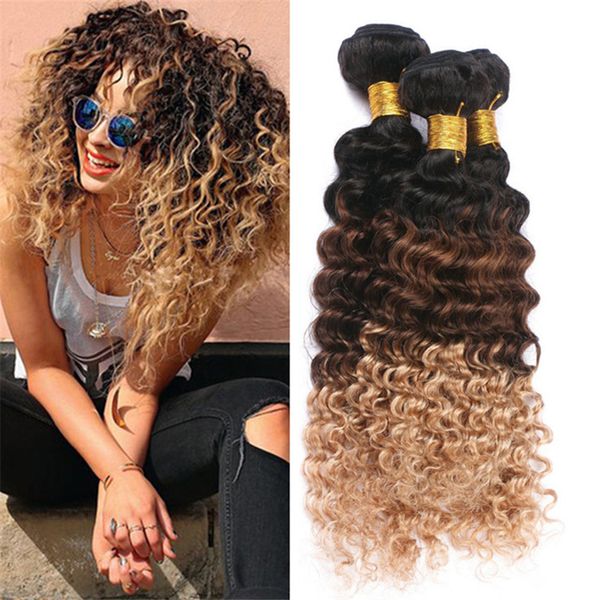 Brazilian Deep Wave Ombre Virgin Hair Bundles Three Tone 1b 4 27