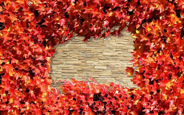 

living style wallpaper stylish retro brick wall maple leaf wall mural p wallpaper