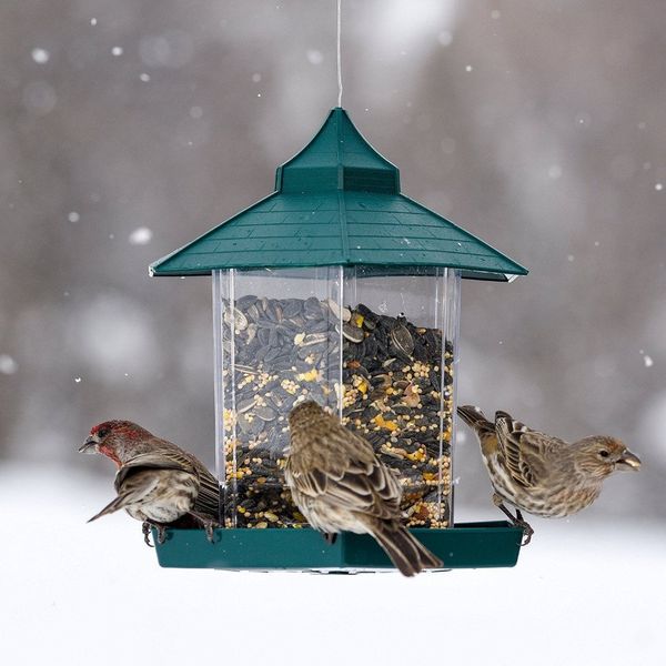 2020 European Style Wild Bird Feeder Outdoor Bird Feeders Food
