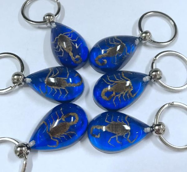 

yqtdmy 12 pcs embedded gold scorpion blue drop specimens keychain, Slivery;golden