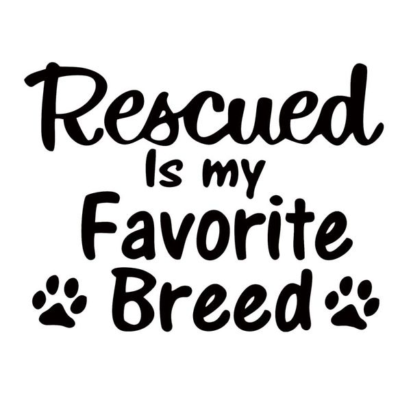 Rescue Is My Favorite Breed Bumper Sticker Rescue Dog//Cat Vinyl Window Decal