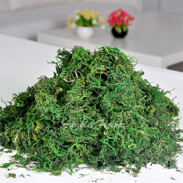 

wholesale- 50g/bag keep dry real green moss decorative plants vase artificial turf silk flower accessories for flowerpot decoration