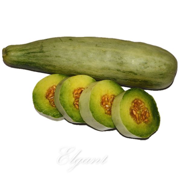 

Long Honey Melon 20 Seeds Crisp Sweet Yummy Easy to Grow Non-GMO Heirloom Fruit for Summer Garden