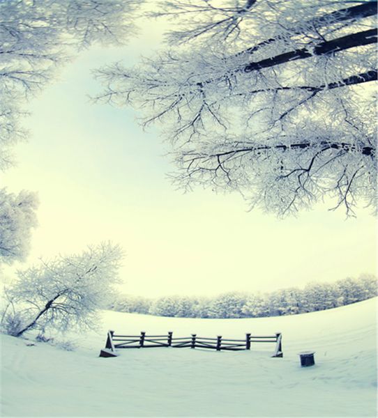 10x10ft Inverno Neve Scenic Photography Backdrops Árvores da floresta Ano Novo Feriado Natal Photo Studio Booth Fundos Vinil