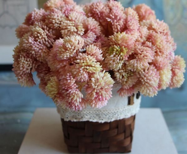 

фрукты редкие сада сочные травы пустыня искусственные растения пейзаж поддельные декоративный цветок