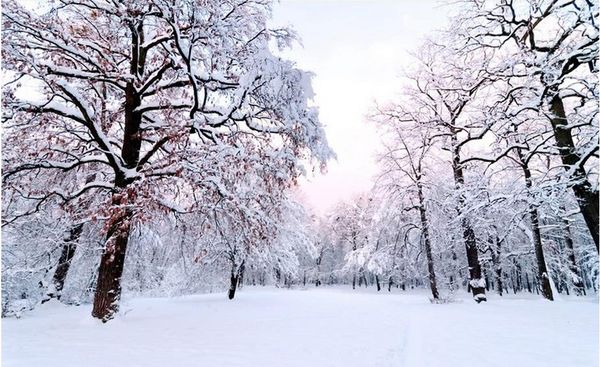 Modern Wallpaper For The Bedroom Nonwoven Wallpaper Luxus Winter Snow Background Wall Custom Wallpaper Mural Christmas Computer Wallpaper Christmas