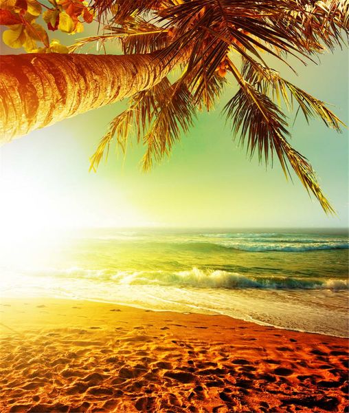 Praia Pôr-do-sol Scenic Fotografia Fundo Impresso Palmeira Branco Spindrift Férias De Verão Crianças Backdrops Estúdio de Fotografia de Casamento