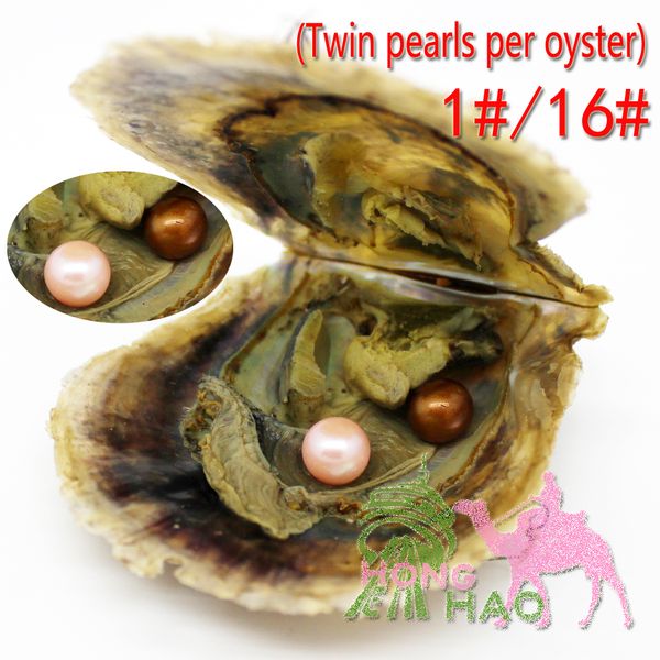 

fashion popular beads wholesale bright colors pearls separately vacuum packed twins oyster with 6-7mm4a round arkaya pearl