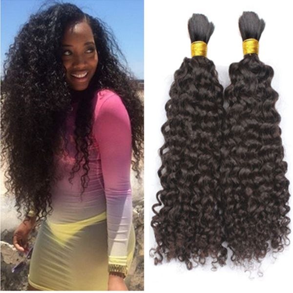Afro Kinky Curly Hair Bulk For Braiding 8a Brazilian Human Hair