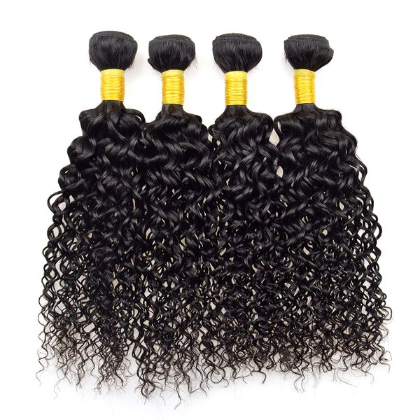 1b Burgundy Malaysian Hair Kinky Curly 100 Human Hair Weaving