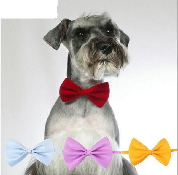 Mode Polyester Seide Haustier Hund Krawatte Einstellbare Hübsche Krawatten Krawatte Hund Katze Pflege Liefert Haustiere Kleidung Produkte