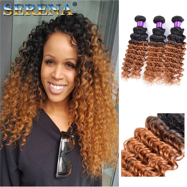 Ombre Hair Extensions Indian Deep Wave Virgin Hair Weave Bundles