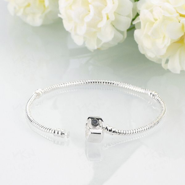 Fish Hook Bracelet Diy S Promo Codes Deals 2019 Get Fish Hook Bracelet Diy S Silver Plated Fit Women For Pandora Snake Chain Basic
