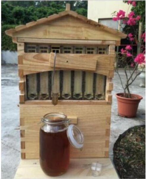 7 PCS Atualizado Apicultura Ferramenta Hive Frames + Beehive Caixa De Brood De Madeira