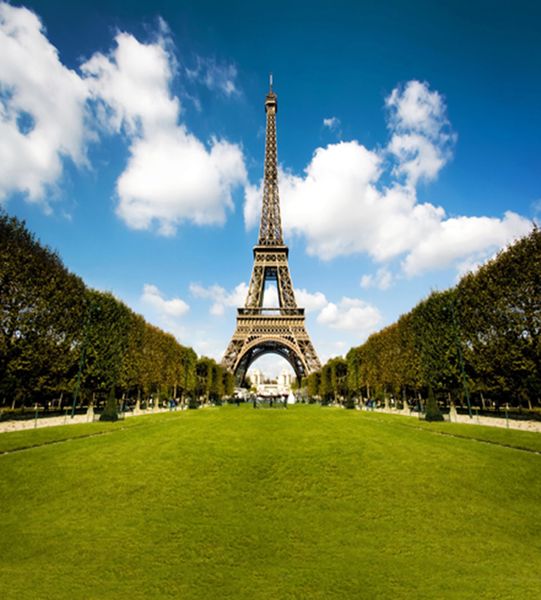 Cenários de vinil para a fotografia Eiffel Tower Backdrop Vista ao ar livre Céu Azul Branco Nuvem Gramado Verde Casamento romântico fundo fotográfico