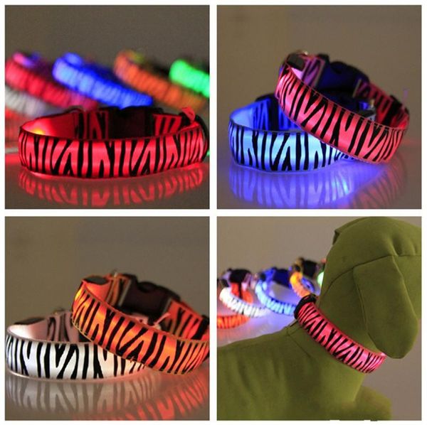 2017 Nova Zebra Pet Dog LED Coleira Coleiras de Gato de Flash Piscando Pescoço De Nylon Light Up TrainingCollar para Cães