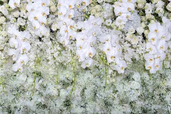 10x8ft Romantic Wedding Photography Backdrops White Butterfly Orchid Flowers Roses Wall Photographic Backgrounds Studio Booth Wallpaper Prop