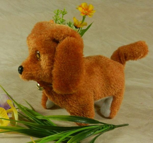 battery powered dog toys